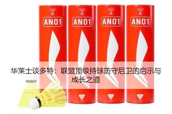 华莱士谈多特：联盟顶级持球防守后卫的启示与成长之道